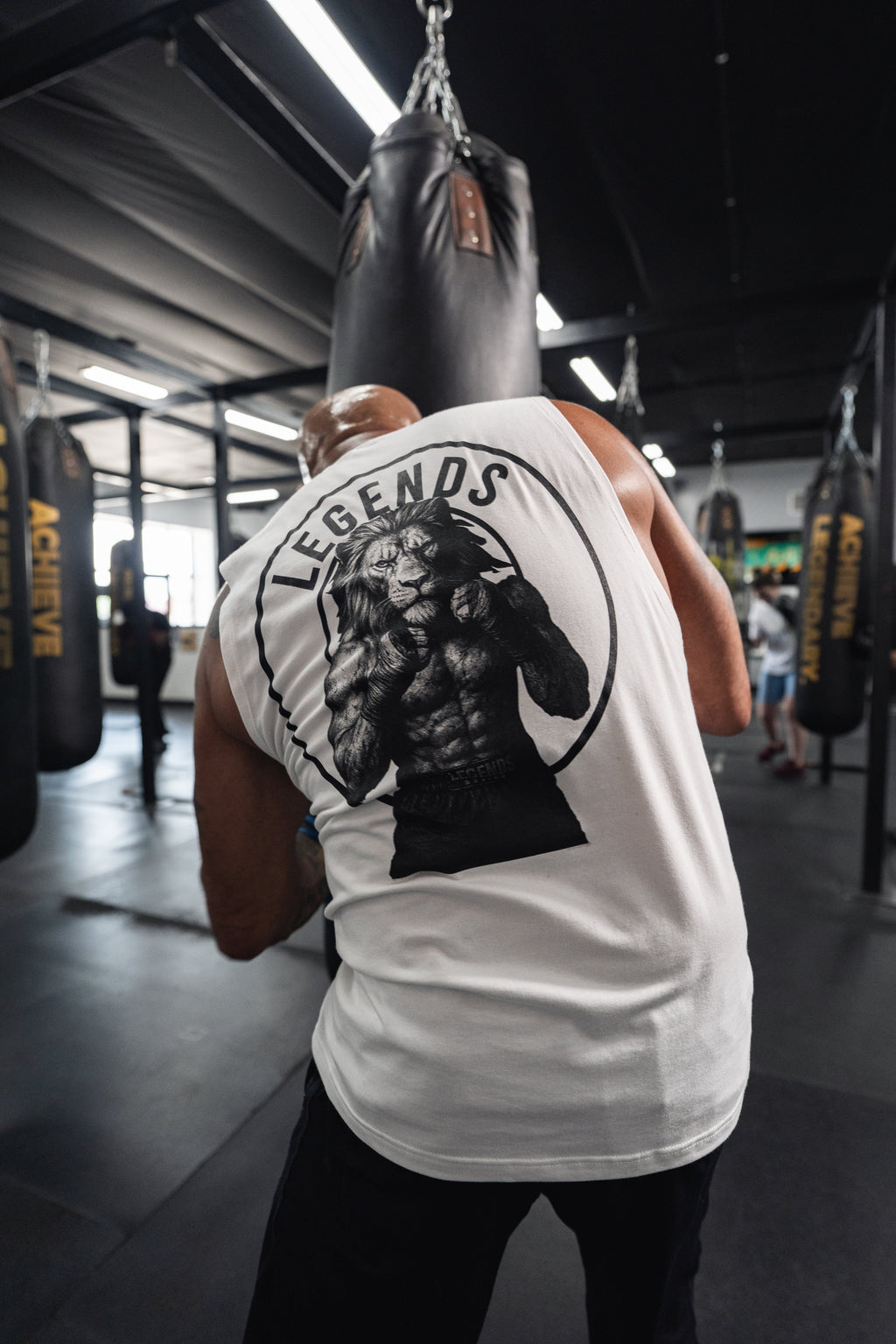 Apex 2.0 Legends Boxing Wholesale