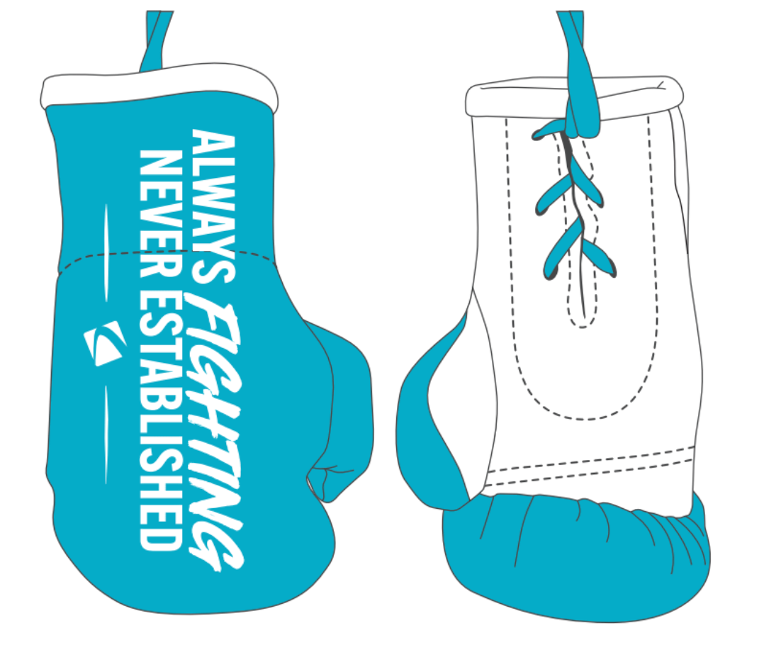 Special Edition Mini Boxing Gloves Uncaged Logistics