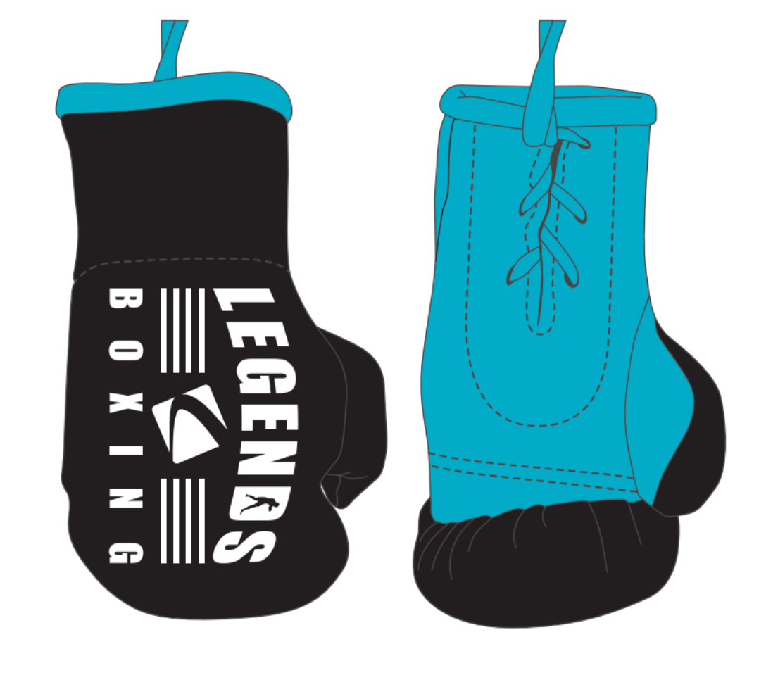 Special Edition Mini Boxing Gloves Uncaged Logistics